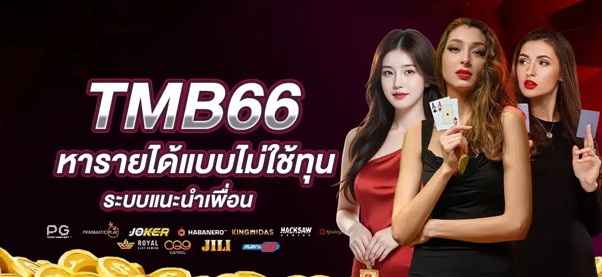 หารายได้แบบไม่ใช้ทุน TMB66 ระบบแนะนำเพื่อน