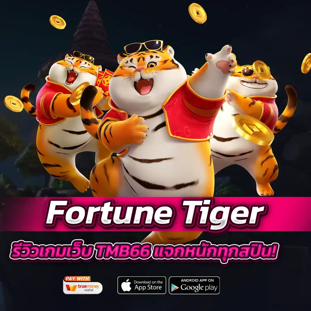รีวิวเกม Fortune Tiger เว็บ TMB66 แจกหนักทุกสปิน
